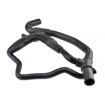Tuyau Durite Radiateur Pour Renault Clio II 7700414122, 7700834895, 8200031117