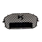 Calandre Grille de Pare Choc Avant Pour Citroën DS3