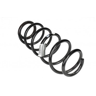 Ressort de Suspension Arrière Pour Renault Laguna III