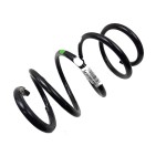Ressort de Suspension Avant Pour Renault Laguna III