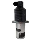 Vanne EGR Pour Renault Opel Nissan 4404463, 4415923, 4412634, 4434381, 4411697