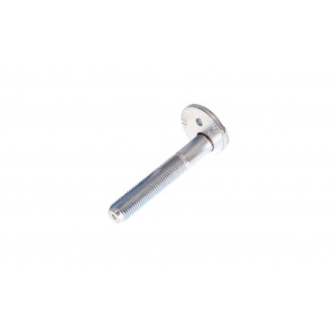 Vis de Correction du Carrossage Pour BMW X5 E70 X6 E71 E72 33306770968
