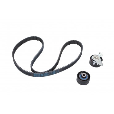 Kit de Distribution Pour Peugeot 307 308 407 807 Expert Citroën C4 C5 C8 Jumpy