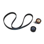 Kit de Distribution Pour Peugeot 307 308 407 807 Expert Citroën C4 C5 C8 Jumpy