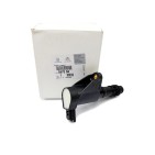 Bobine d'Allumage Pour Peugeot Renault Avantime Fiat Citroën 597077, 597094