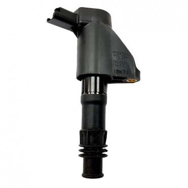 Bobine d'Allumage Pour Peugeot Renault Avantime Fiat Citroën 597077, 597094