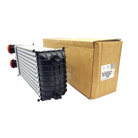 échangeur d'Air Intercooler Pour Citroën 0384N7, 9803900780, 3637009, 0384N8