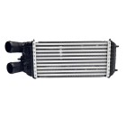 échangeur d'Air Intercooler Pour Citroën 0384N7, 9803900780, 3637009, 0384N8