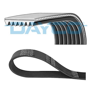 Courroie d'Accessoire Pour Peugeot BMW Fiat Ford 5750EV 11281437869 9641705880