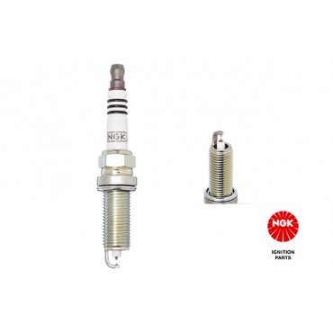 Courroie de Distribution Pour Peugeot Opel Fiat Ford 0816K0 9467637180 1683824