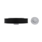 Poulie Damper Pour Renault Grand Scénic II Laguna Megane III Nissan Primera