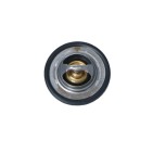 Thermostat d'Eau Pour Renault Clio III 8200525397 8200772994