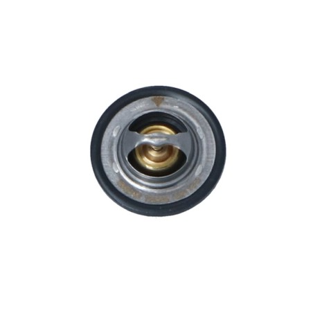 Thermostat d'Eau Pour Renault Clio III 8200525397 8200772994