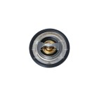 Thermostat d'Eau Pour Renault Dacia Opel Nissan 8200030307 2120000Q0A 8200479402
