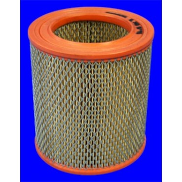Filtre à Air Pour Peugeot Fiat Alfa Romeo Citroën 144409 1384034 ZF05980183