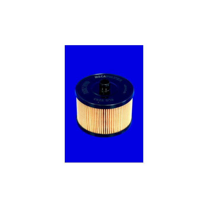 Filtre à Carburant Pour Peugeot Fiat Ford Citroën 190177 9401906898 1318563