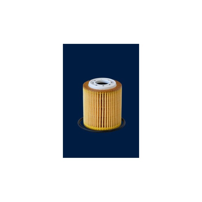 Filtre à Huile Pour Peugeot Opel Fiat Ford Ecosport 1624797780 3557009 2257375