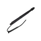Vérin de Coffre Droit Pour Toyota Corolla 6891012020