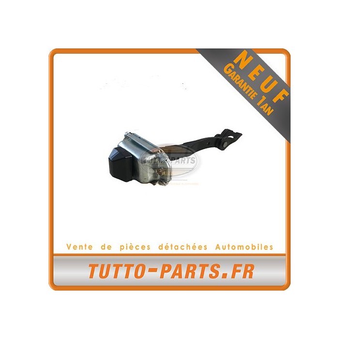 Charnière de porte pour RENAULT Megane 