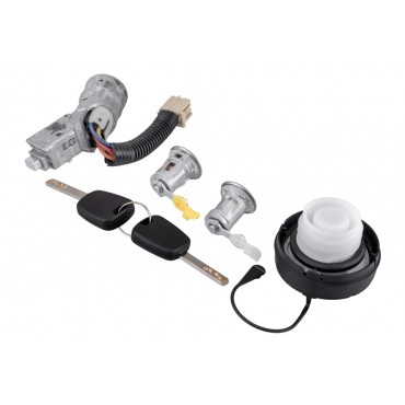 Contacteur d'Allumage + Serrures Portes Pour Peugeot 107 Toyota Aygo Citroën C1