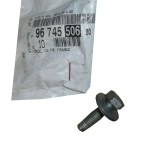 Vis Rondelle Pour Citroën Berlingo