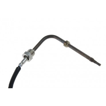 Sonde Température Gaz Pour Smart Fortwo 0.8 Cdi - À Partir De 2009 19051500