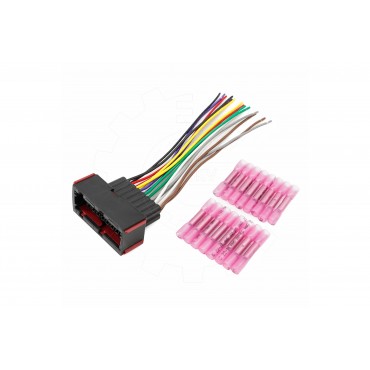 Faisceau Broche Connectique