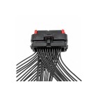 Faisceau Broche Connectique