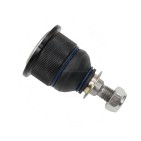Rotule de Suspension Avant Pour BMW Série 3 E30 Z1 -- 31121126254