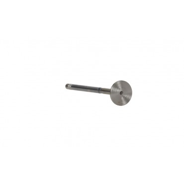 Soupape d'échappement Pour Peugeot Opel Fiat Ford Ecosport Focus IV Kuga III