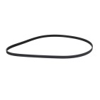 Courroie d'Accessoire Pour Audi BMW Fiat Ford 046903137B 11281437869 9641705880