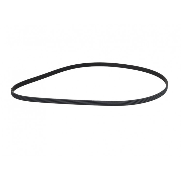 Courroie d'Accessoire Pour Audi BMW Fiat Ford 046903137B 11281437869 9641705880