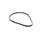Courroie d'Accessoire Pour Audi BMW Fiat Ford 046903137B 11281437869 9641705880