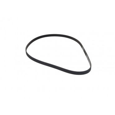 Courroie d'Accessoire Pour Audi BMW Fiat Ford 046903137B 11281437869 9641705880