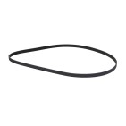 Courroie d'Accessoire Pour Audi BMW Fiat Ford 046903137B 11281437869 9641705880