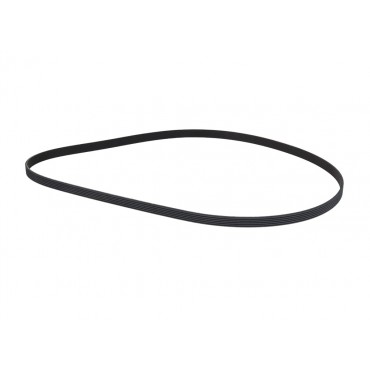 Courroie d'Accessoire Pour Audi BMW Fiat Ford 046903137B 11281437869 9641705880