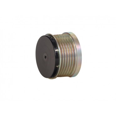 Poulie d'Alternateur Pour Peugeot Fiat Citroën Iveco 1613272280 504057813