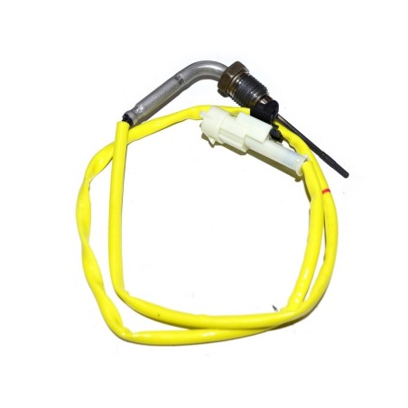 Capteur Température de Gaz d'échappement Pour Iveco Daily IV 5801356481