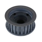 Pignon Poulie Dentée Vilebrequin Pour Fiat Idea Marea Multipla Palio Sedici 147