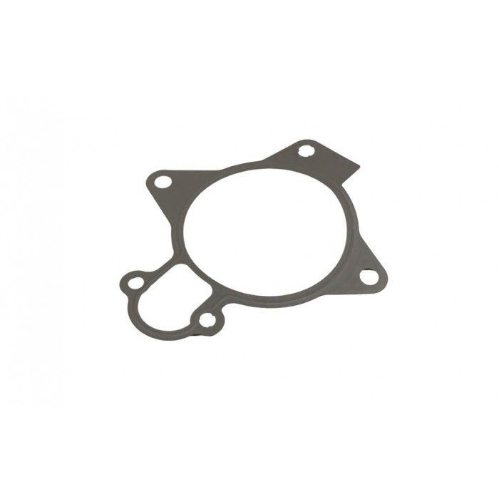 Joint de Pompe à Eau Pour Peugeot Fiat Citroën Jumper Hyundai 1206F1 504080013