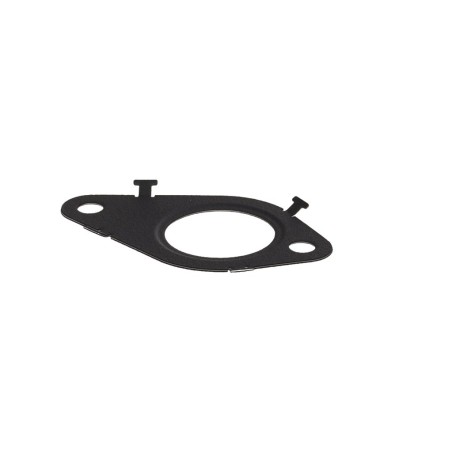 Joint Torique Vanne EGR Pour Iveco Daily Citys VI
