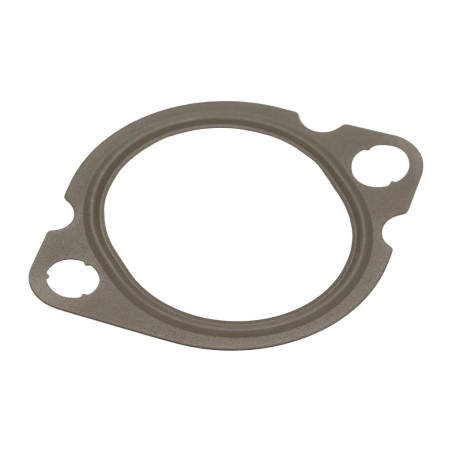 Joint Torique Vanne EGR Pour Iveco Daily Citys VI