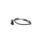 Sonde Température des Gaz Pour Fiat Ducato