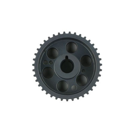 Roue Dentée Pompe à Injection Pour Fiat Doblo