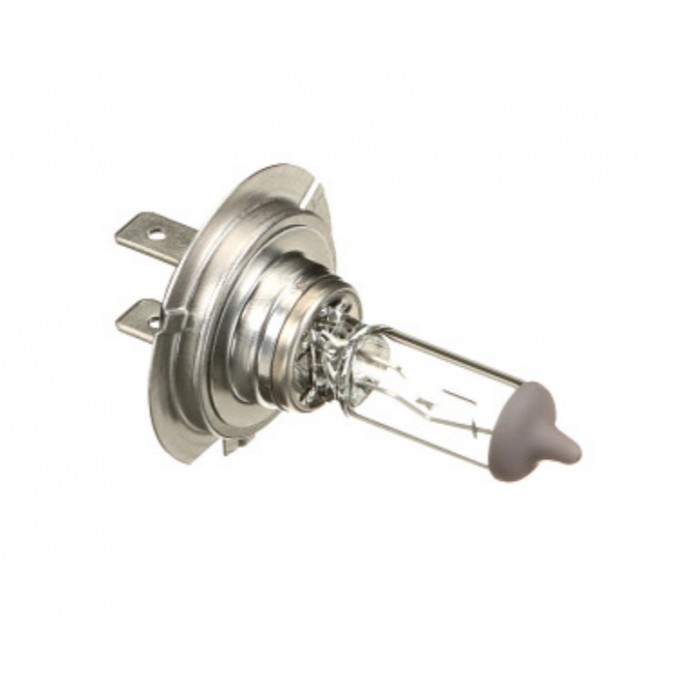 Ampoule Feu H7 12V 55EW Pour Iveco Daily Citys VI