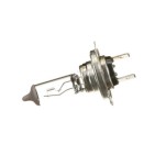 Ampoule Feu H7 12V 55EW Pour Iveco Daily Citys VI