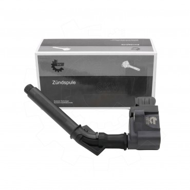 Bobine d'Allumage Pour Renault Dacia Mercedes-Benz Nissan 224332935R 2244800Q0J
