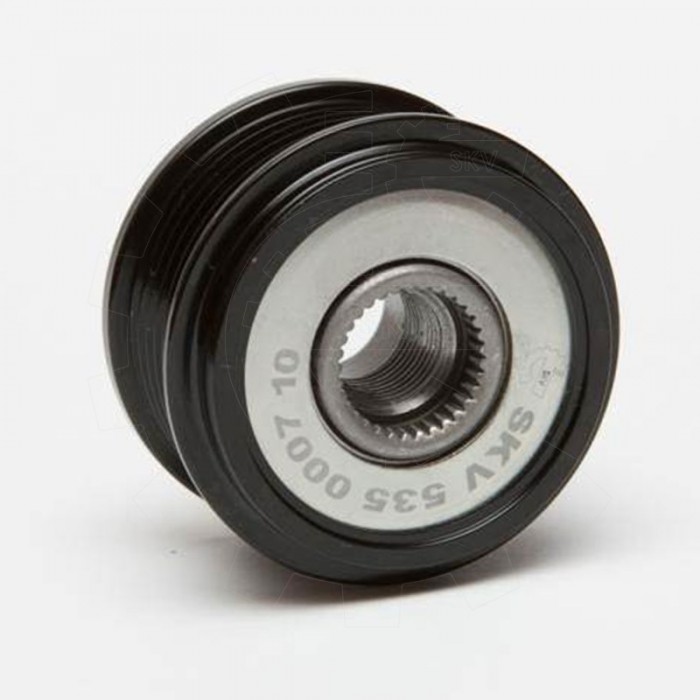 Poulie d'Alternateur Pour VW Passat Variant Audi A4 Avant