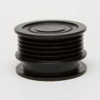 Poulie d'Alternateur Pour Renault Clio II Camionnette - 3/5 Portes Kangoo 110616
