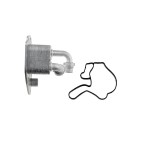 Radiateur Refroidisseur D'huile Moteur Pour 159 Brera Spider Bls Wagon 55595532